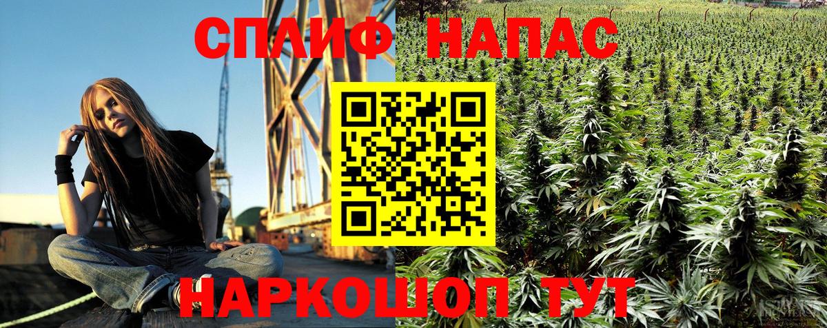 Шишки марихуана MAZAR Нефтеюганск